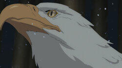 Griffin/Familiar Griffin/Familiar
