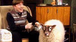 Chirpy Burpy Cheap Sheep Chirpy Burpy Cheap Sheep