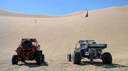 Looney Dunes Looney Dunes