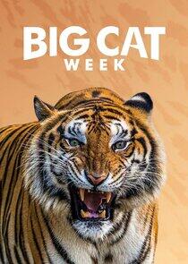 Big Cat Week Big Cat Week