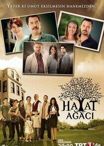 Hayat Ağacı Hayat Ağacı