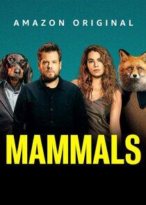 Mammals Mammals