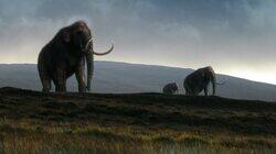 Great Mammoth Mystery Great Mammoth Mystery