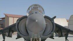 Harrier Harrier