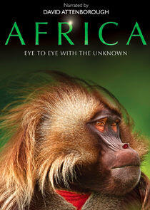 Africa Africa