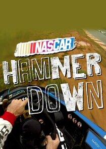 NASCAR Hammer Down NASCAR Hammer Down
