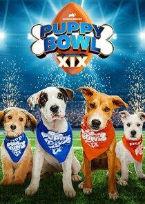 Puppy Bowl - Season 20 / Year 2023 Puppy Bowl - Season 20 / Year 2023