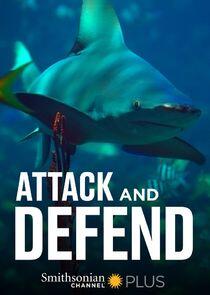 Attack and Defend - Season 1 Attack and Defend - Season 1