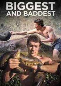 Biggest and Baddest Biggest and Baddest