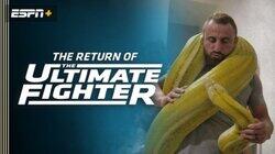Snake Bitten Snake Bitten