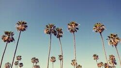 Los Angeles