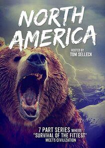 North America North America