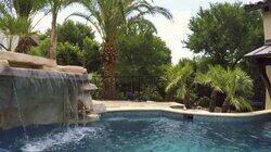 Georgia Peach Pool Paradise Georgia Peach Pool Paradise