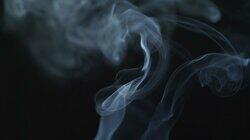 The Cannabis Question The Cannabis Question