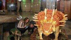 Dinosaur Cake Dinosaur Cake