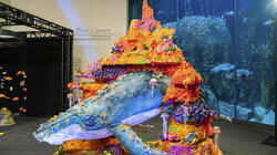 Aquarium Cake Aquarium Cake
