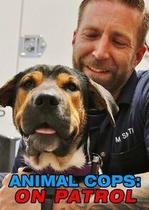 Animal Cops: On Patrol Animal Cops: On Patrol