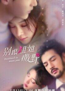 Destined to Meet You - Season 1 Destined to Meet You - Season 1