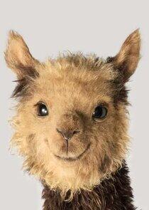 Al Alpaca Al Alpaca