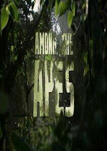Among the Apes Among the Apes