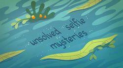 Unsolved Selfie Mysteries Unsolved Selfie Mysteries