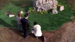 Upon This Rock Upon This Rock