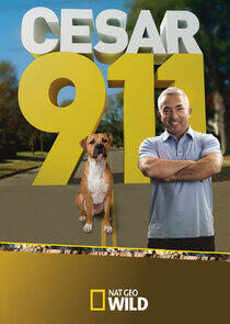 Cesar 911 Cesar 911