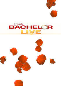The Bachelor Live The Bachelor Live
