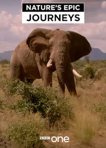 Nature's Epic Journeys Nature's Epic Journeys
