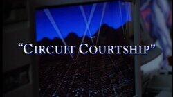 Circuit Courtship Circuit Courtship