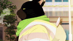 A Masterful Cat Also Goes to Birthday Parties A Masterful Cat Also Goes to Birthday Parties