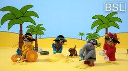 Diggy Pirate Hunt
