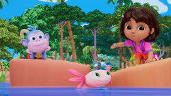 The Little Axolotl The Little Axolotl
