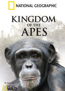 Kingdom of the Apes Kingdom of the Apes