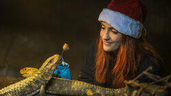 The Secret Life of the Zoo at Christmas 2017 The Secret Life of the Zoo at Christmas 2017