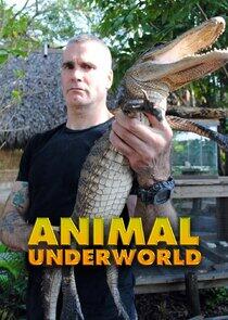Animal Underworld Animal Underworld