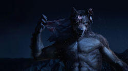Shape-Shifters Shape-Shifters