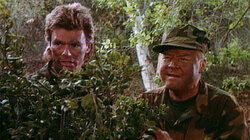 Bushmaster Bushmaster