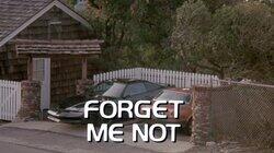 Forget Me Not Forget Me Not