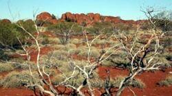 The Red Desert The Red Desert