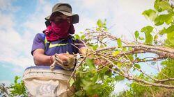 Colombia: The New Cocaine War Colombia: The New Cocaine War