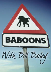 Baboons with Bill Bailey Baboons with Bill Bailey