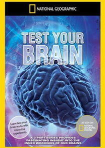 Test Your Brain Test Your Brain