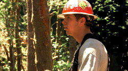King of the Hill King of the Hill