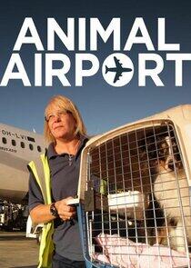 Animal Airport - Season 2 Animal Airport - Season 2