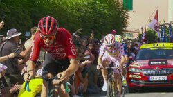 David contre Goliath David contre Goliath