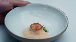 Scallop Scallop