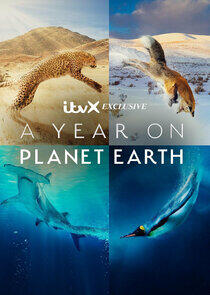 A Year on Planet Earth - Season 1 A Year on Planet Earth - Season 1
