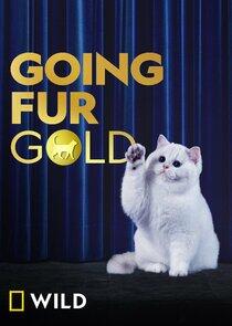 Going Fur Gold Going Fur Gold