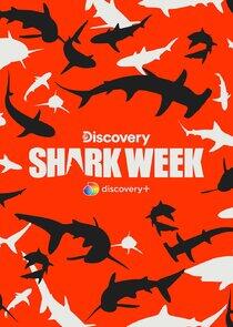 Shark Week - Season 26 / Year 2022 Shark Week - Season 26 / Year 2022